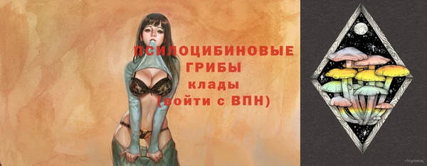 молекула духа Арсеньев