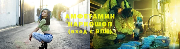 молекула духа Арсеньев