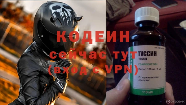 молекула духа Арсеньев