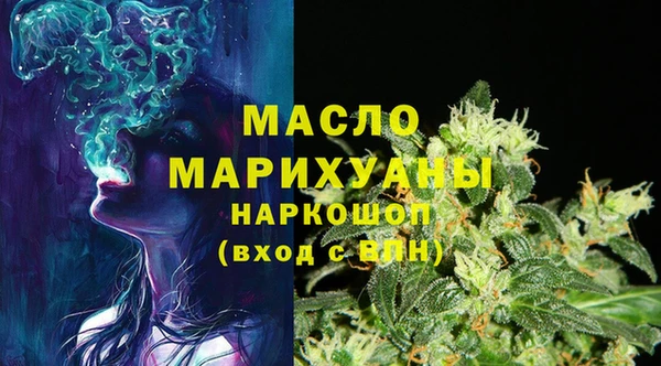 молекула духа Арсеньев