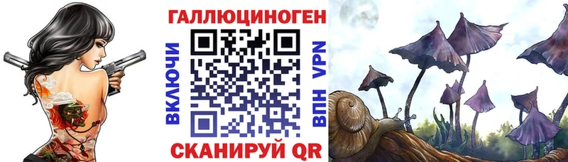 Псилоцибиновые грибы мухоморы  купить наркотики цена  Сибай 